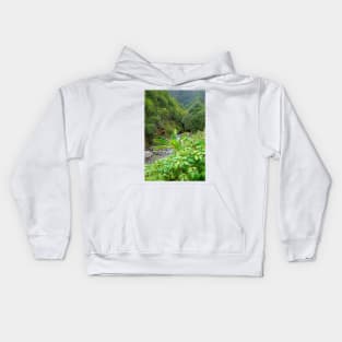 Iao Valley State Monument Study 10 Kids Hoodie